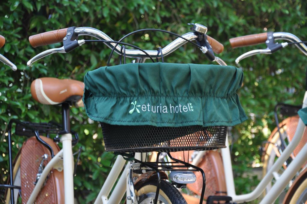 Hotel Etruria Forte dei Marmi Kültér fotó